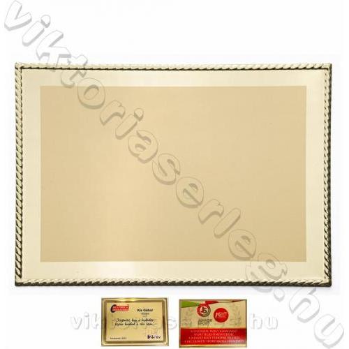 Plakett VTP 20-1 (180x130mm)