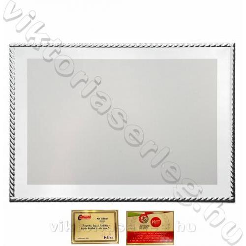 Plakett VTP 21-2 (160x120mm)